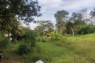 ZONING RESIDENTIAL| Agriculture Land Dusun Tua Hulu Langat Untuk Dijual