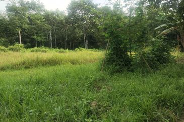 ZONING RESIDENTIAL| Agriculture Land Dusun Tua Hulu Langat Untuk Dijual
