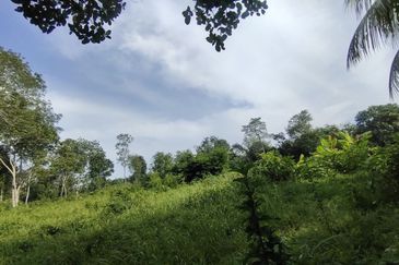 ZONING RESIDENTIAL| Agriculture Land Dusun Tua Hulu Langat Untuk Dijual