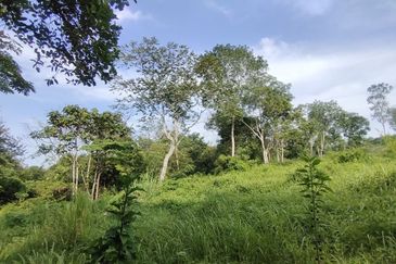 ZONING RESIDENTIAL| Agriculture Land Dusun Tua Hulu Langat Untuk Dijual