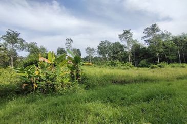 ZONING RESIDENTIAL| Agriculture Land Dusun Tua Hulu Langat Untuk Dijual
