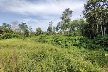 ZONING RESIDENTIAL| Agriculture Land Dusun Tua Hulu Langat Untuk Dijual