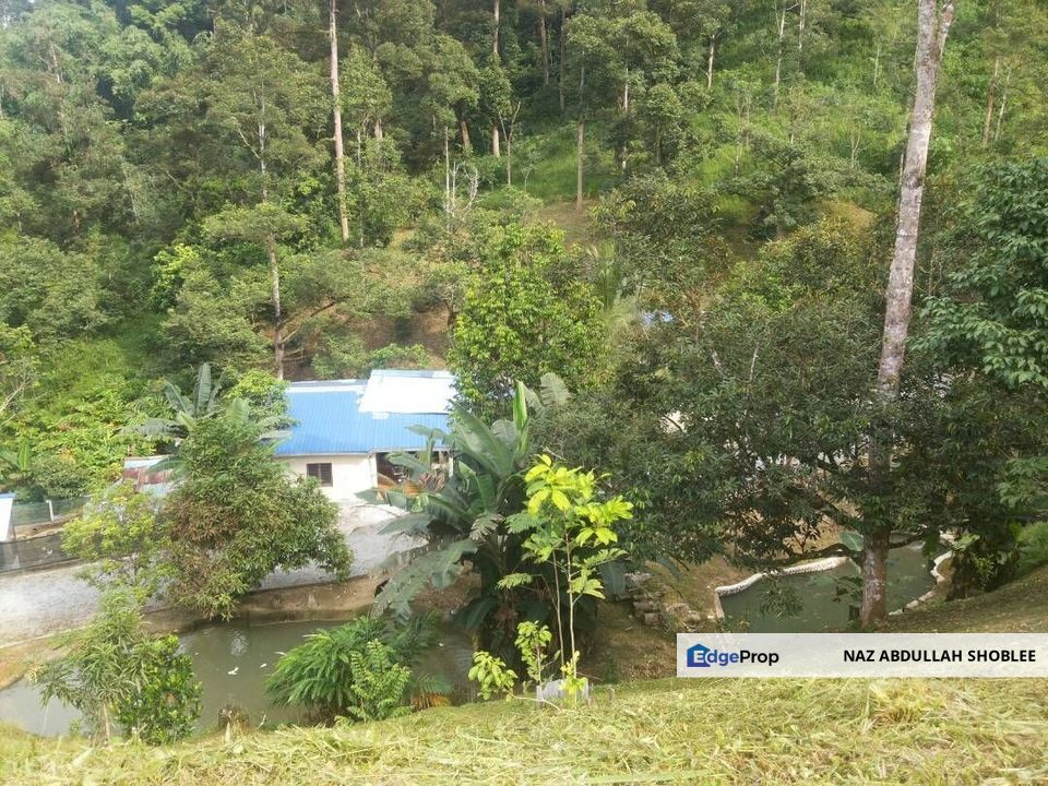 Dusun (Durian) Sungai Congkak Hulu Langat (10 Ekar) Untuk Dijual, Selangor, Hulu Langat