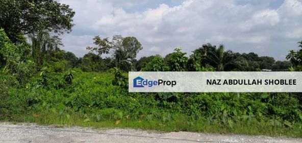 NEXT TO TAMAN PUTRA HEIGHTS| Land at Kampung Bukit Lanchong Shah Alam For Sale, Selangor, Shah Alam