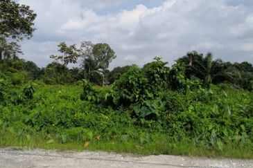 Kampung Bukit Lanchong