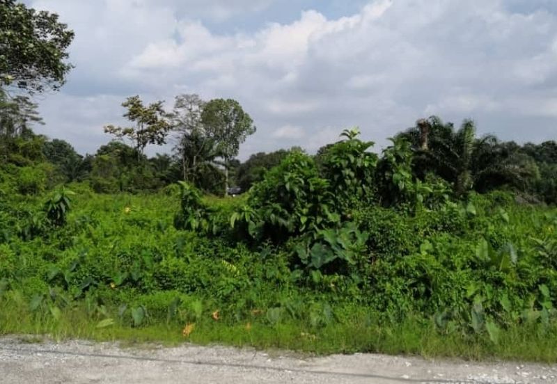 Kampung Bukit Lanchong