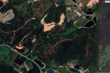 INDUSTRIAL ZONING| Agriculture Land (Palm Oil) Ulu Semenyih For Sale