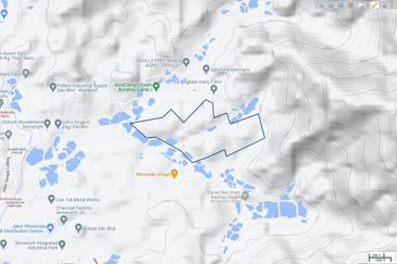 INDUSTRIAL ZONING| Agriculture Land (Palm Oil) Ulu Semenyih For Sale