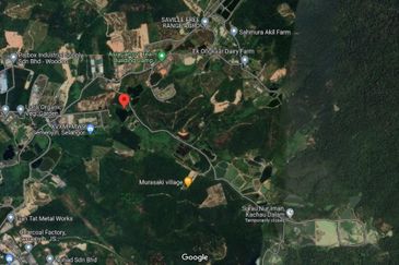 INDUSTRIAL ZONING| Agriculture Land (Palm Oil) Ulu Semenyih For Sale