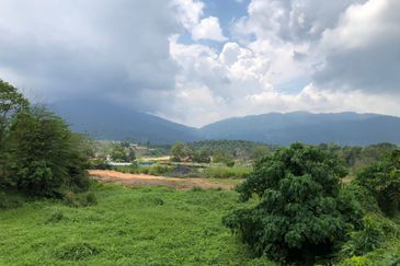 INDUSTRIAL ZONING| Agriculture Land (Palm Oil) Ulu Semenyih For Sale