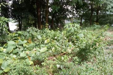 CUL-DE-SAC| Bungalow Lot Country Heights Damansara Kuala Lumpur For Sale