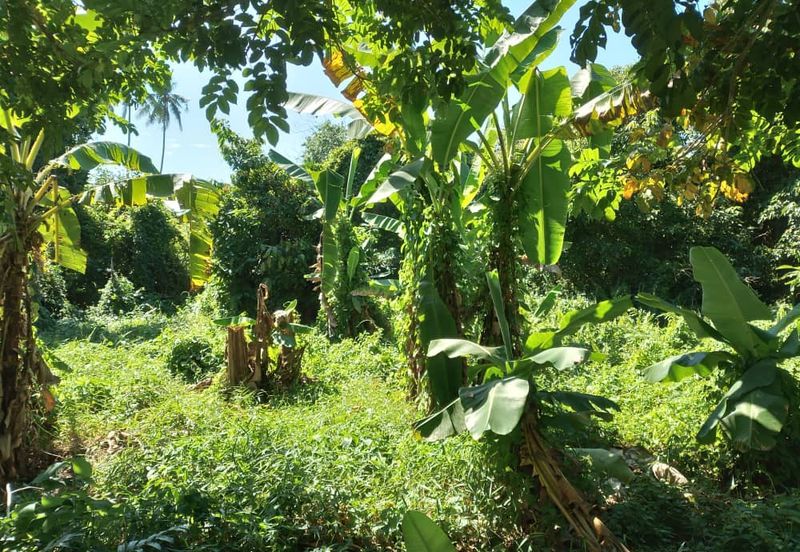 ZONING PERUMAHAN| Tanah Pertanian Kampung Sungai Pinang Pulau Indah Untuk Dijual