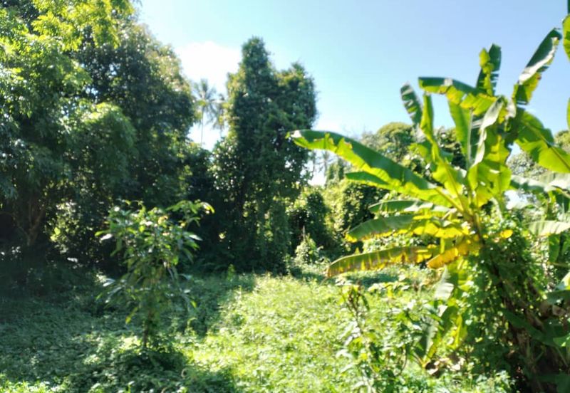 ZONING PERUMAHAN| Tanah Pertanian Kampung Sungai Pinang Pulau Indah Untuk Dijual