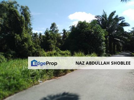 ZONING PERUMAHAN| Tanah Pertanian Kampung Sungai Pinang Pulau Indah Untuk Dijual, Selangor, Pulau Indah (Pulau Lumut)