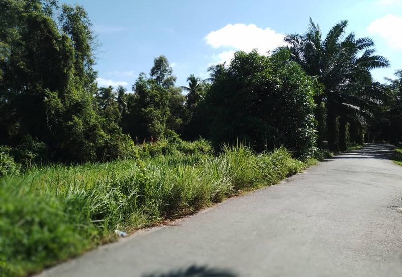 ZONING PERUMAHAN| Tanah Pertanian Kampung Sungai Pinang Pulau Indah Untuk Dijual