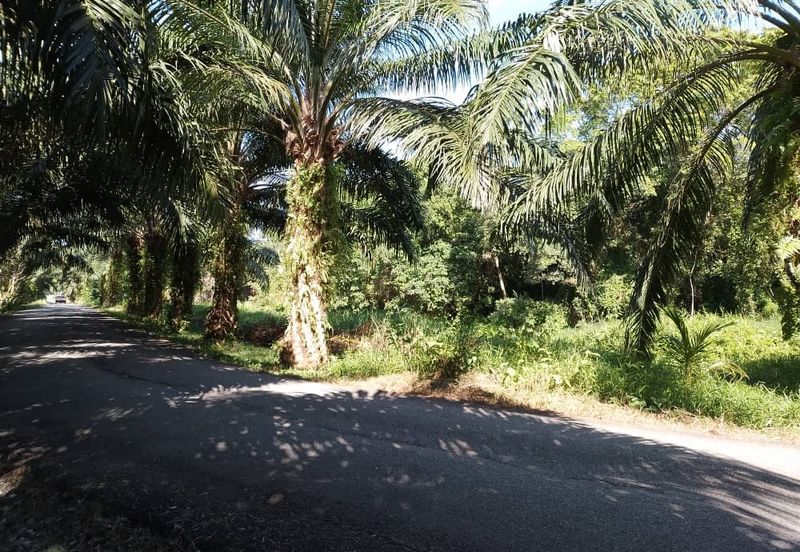 ZONING PERUMAHAN| Tanah Pertanian Kampung Sungai Pinang Pulau Indah Untuk Dijual