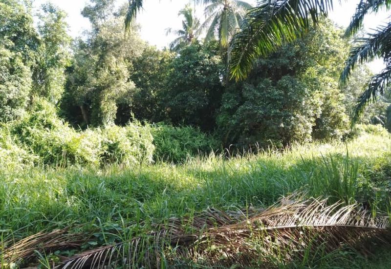 ZONING PERUMAHAN| Tanah Pertanian Kampung Sungai Pinang Pulau Indah Untuk Dijual