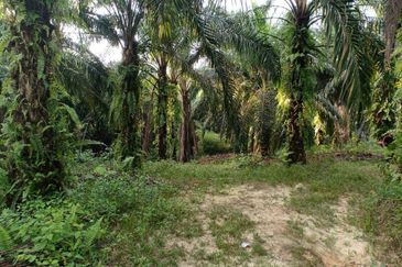 RESIDENTIAL ZONING| Agriculture Land, Seksyen U15, Bukit Cerakah For Sale