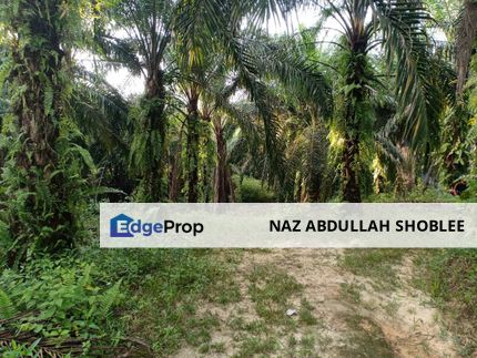 RESIDENTIAL ZONING| Agriculture Land, Seksyen U15, Bukit Cerakah For Sale, Selangor, Shah Alam