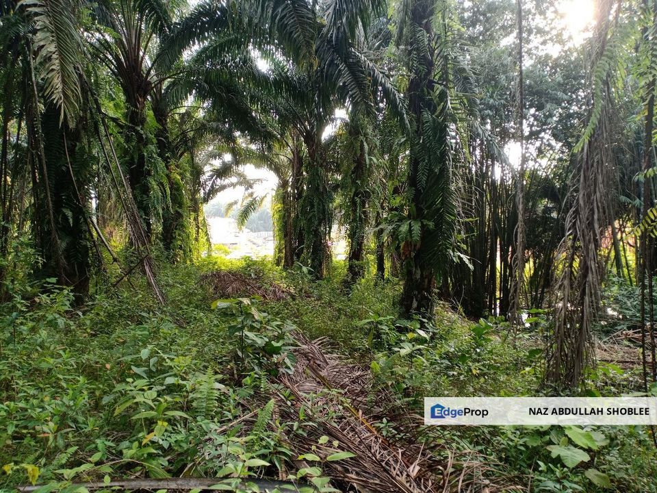 RESIDENTIAL ZONING| Agriculture Land, Seksyen U15, Bukit Cerakah For Sale, Selangor, Shah Alam
