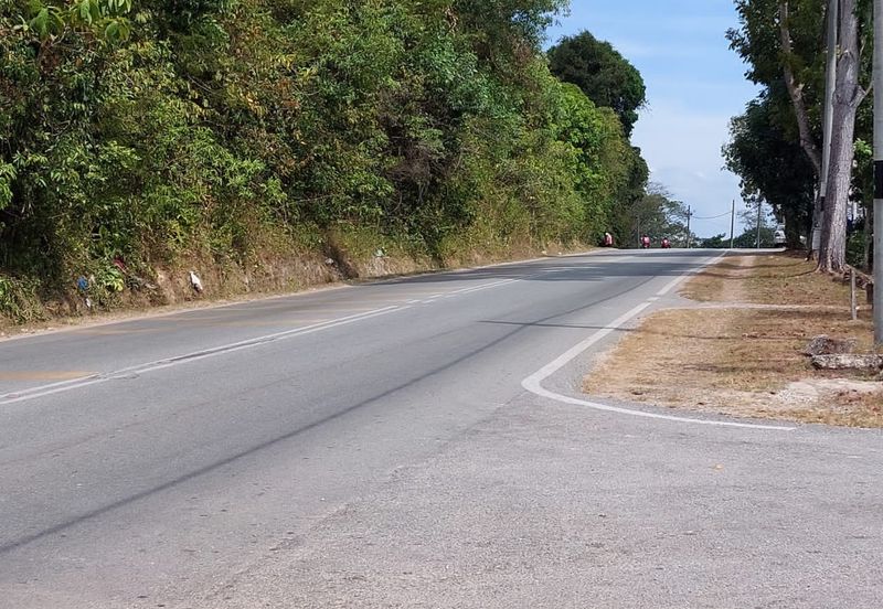 FACING MAINROAD| Agriculture Land, Pokok Sena, Kedah For Sale