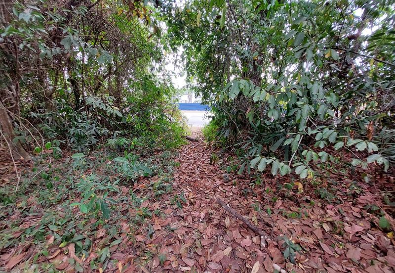 FACING MAINROAD| Agriculture Land, Pokok Sena, Kedah For Sale