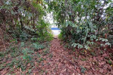 FACING MAINROAD| Agriculture Land, Pokok Sena, Kedah For Sale