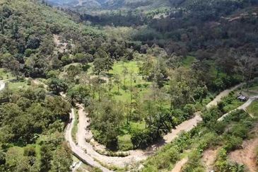 Agriculture Land (Dusun Durian), Bentong, Pahang For Sale
