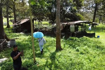 Agriculture Land (Dusun Durian), Bentong, Pahang For Sale