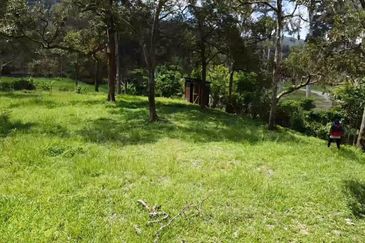 Agriculture Land (Dusun Durian), Bentong, Pahang For Sale