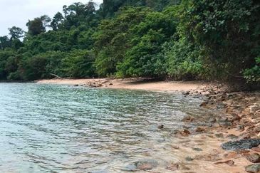 Agriculture Land, Tanjung Rami, Pulau Tuba, Langkawi For Sale