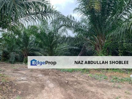 2 Parcels of Agriculture Land (Palm Oil), Pulau Carey, Selangor, Selangor, Kuala Langat