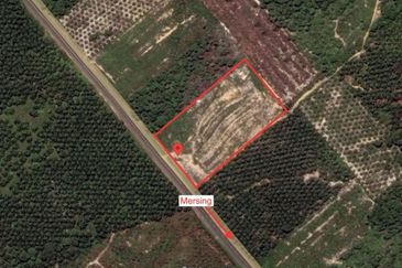 MENGHADAP JALAN UTAMA| Tanah Pertanian (Sawit), Endau, Mersing Untuk Dijual