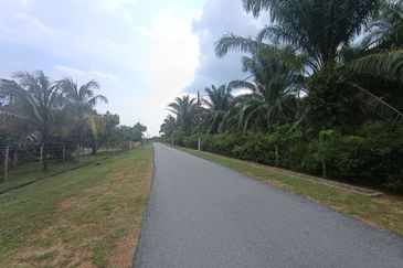 RESIDENTIAL ZONING| 22 Plots of Agriculture Land, Rembau, Negeri Sembilan For Sale