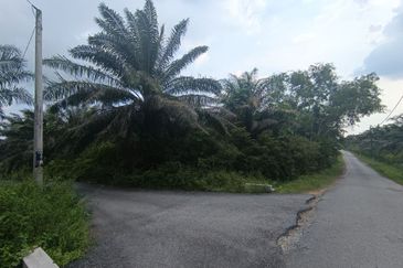 RESIDENTIAL ZONING| 22 Plots of Agriculture Land, Rembau, Negeri Sembilan For Sale