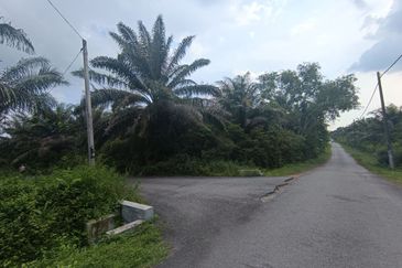 RESIDENTIAL ZONING| 22 Plots of Agriculture Land, Rembau, Negeri Sembilan For Sale