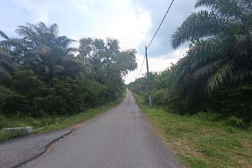 RESIDENTIAL ZONING| 22 Plots of Agriculture Land, Rembau, Negeri Sembilan For Sale