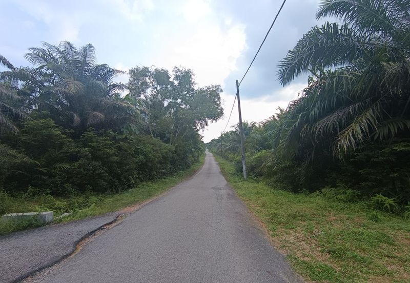 RESIDENTIAL ZONING| 22 Plots of Agriculture Land, Rembau, Negeri Sembilan For Sale