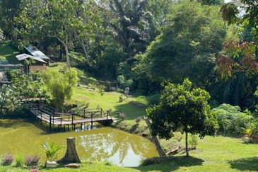 WITH CHALET| TOP OF HILL Agriculture Land, Beranang, Semenyih For Sale