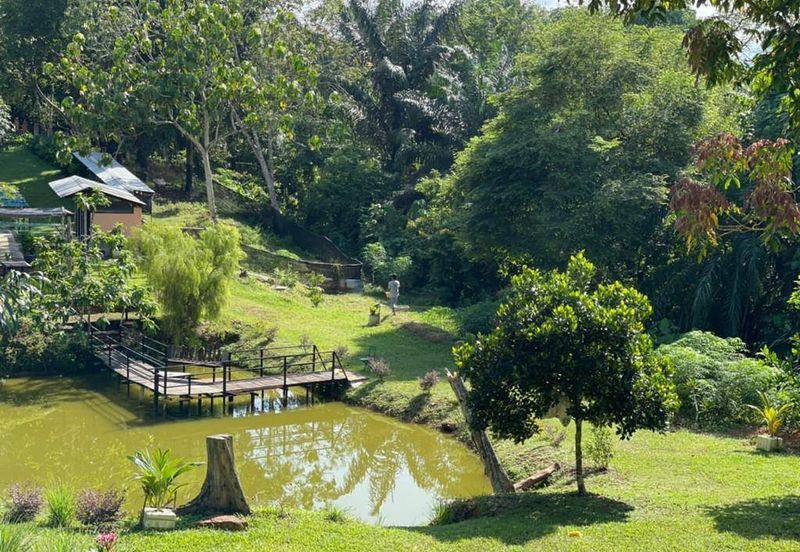 WITH CHALET| TOP OF HILL Agriculture Land, Beranang, Semenyih For Sale