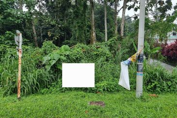 Agriculture Land, Jalan Kampung Sungai Semungkis, Hulu Langat For Sale