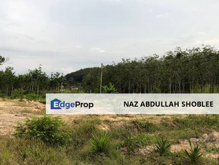 [FACING MAIN ROAD] Palm Oil Land, Triang Ilir, Jelebu, Negeri Sembilan For Sale, Negeri Sembilan, Jelebu