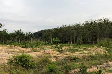 [FACING MAIN ROAD] Palm Oil Land, Triang Ilir, Jelebu, Negeri Sembilan For Sale