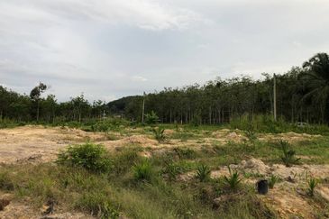 [FACING MAIN ROAD] Palm Oil Land, Triang Ilir, Jelebu, Negeri Sembilan For Sale