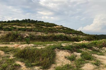 [FACING MAIN ROAD] Palm Oil Land, Triang Ilir, Jelebu, Negeri Sembilan For Sale