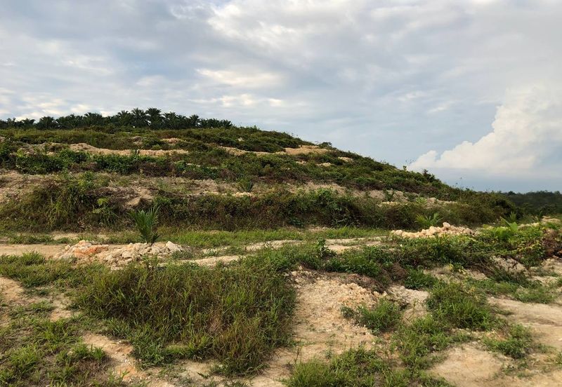 [FACING MAIN ROAD] Palm Oil Land, Triang Ilir, Jelebu, Negeri Sembilan For Sale