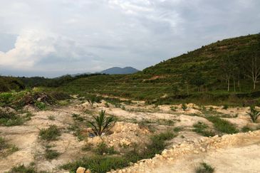 [FACING MAIN ROAD] Palm Oil Land, Triang Ilir, Jelebu, Negeri Sembilan For Sale