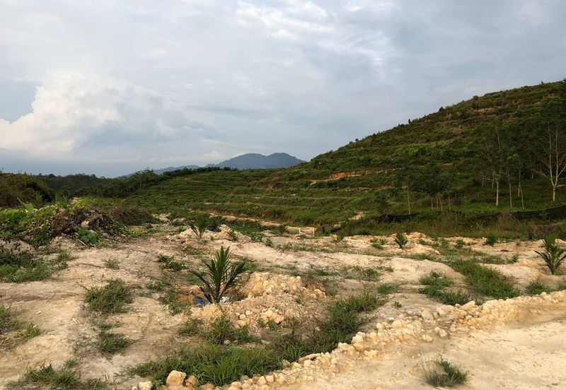 [FACING MAIN ROAD] Palm Oil Land, Triang Ilir, Jelebu, Negeri Sembilan For Sale