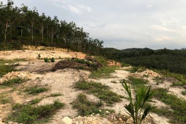 [FACING MAIN ROAD] Palm Oil Land, Triang Ilir, Jelebu, Negeri Sembilan For Sale