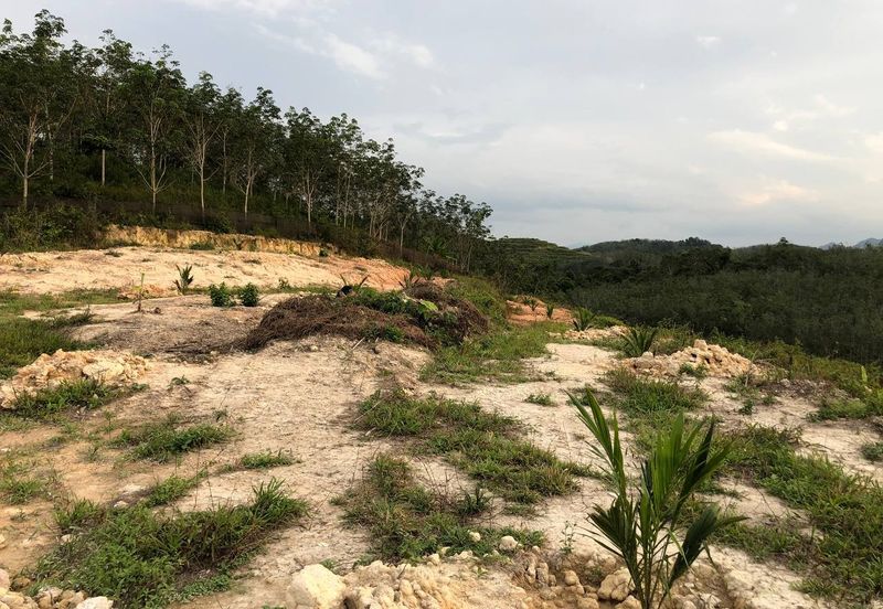 [FACING MAIN ROAD] Palm Oil Land, Triang Ilir, Jelebu, Negeri Sembilan For Sale
